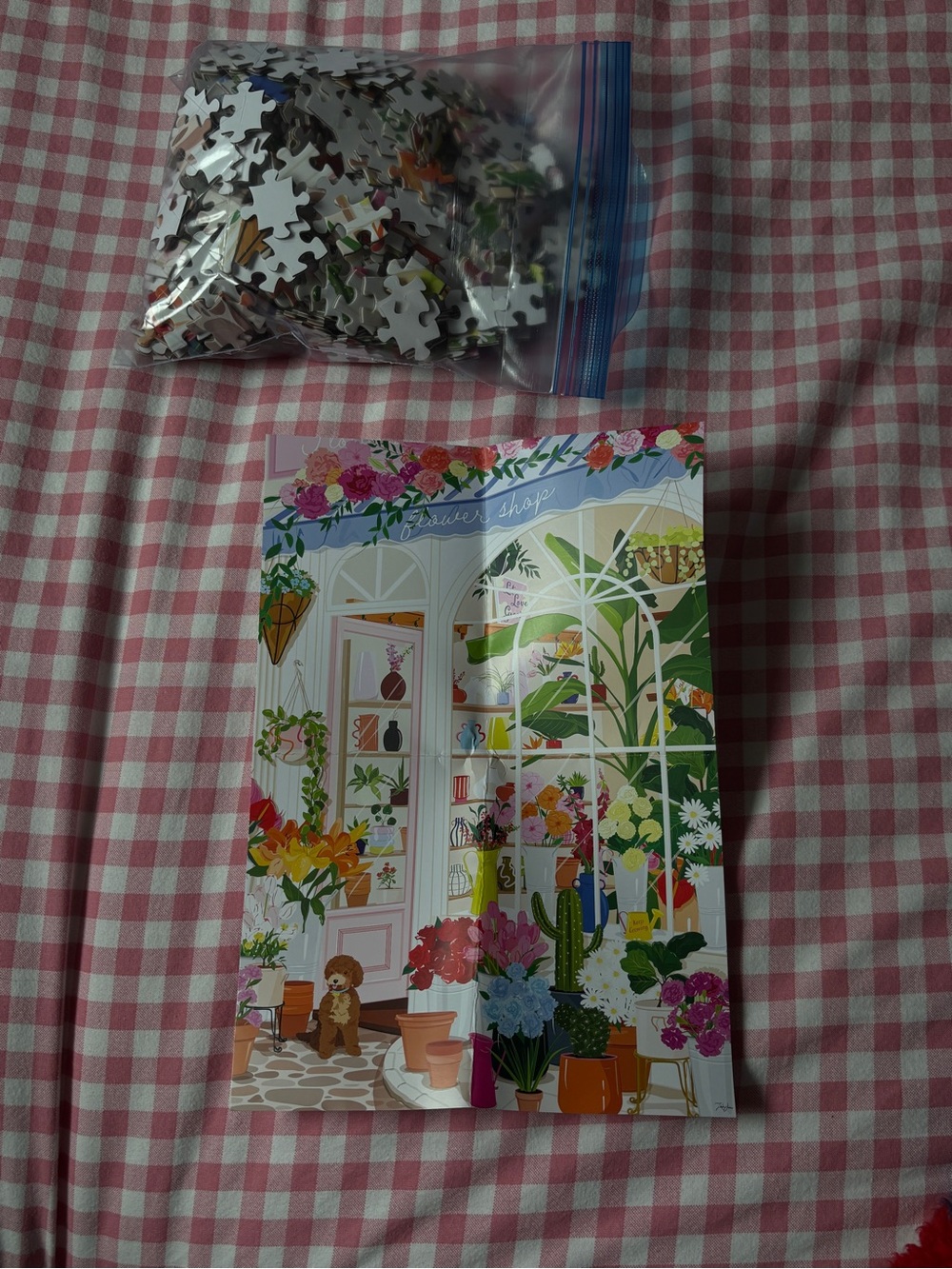 Hobbry x Indigo Flower Shop Puzzle
